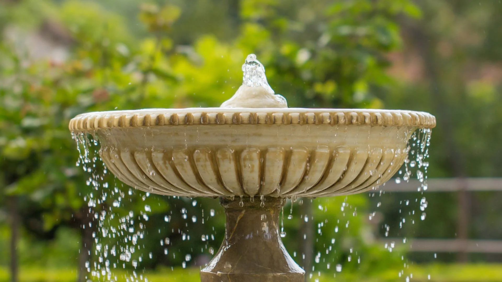 Want to Install a New Water Feature? 3 Options to Consider