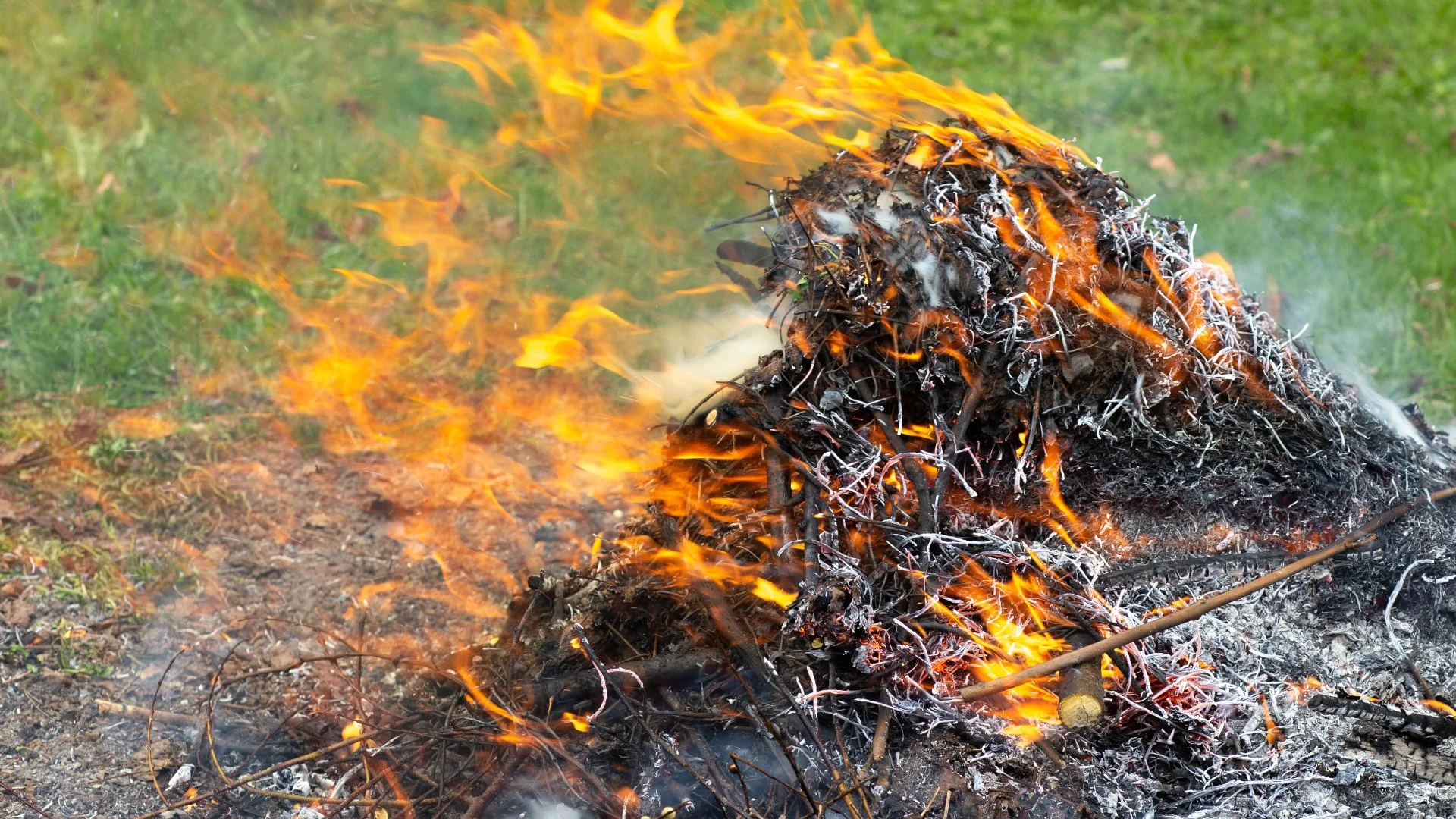 Burning Leaf Piles - An Easy Way to Get Rid of Them or a Bad Idea?