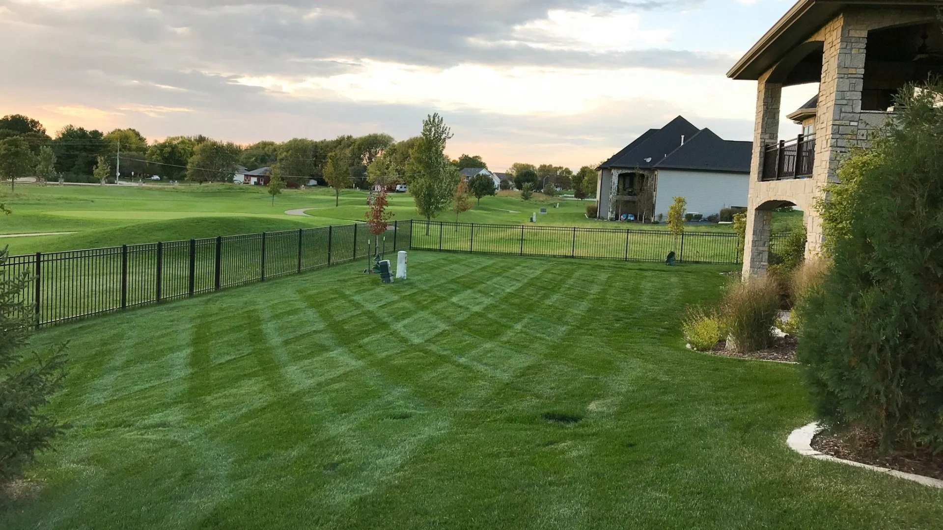 Do Lawn Diseases Go Away Without Intervention?