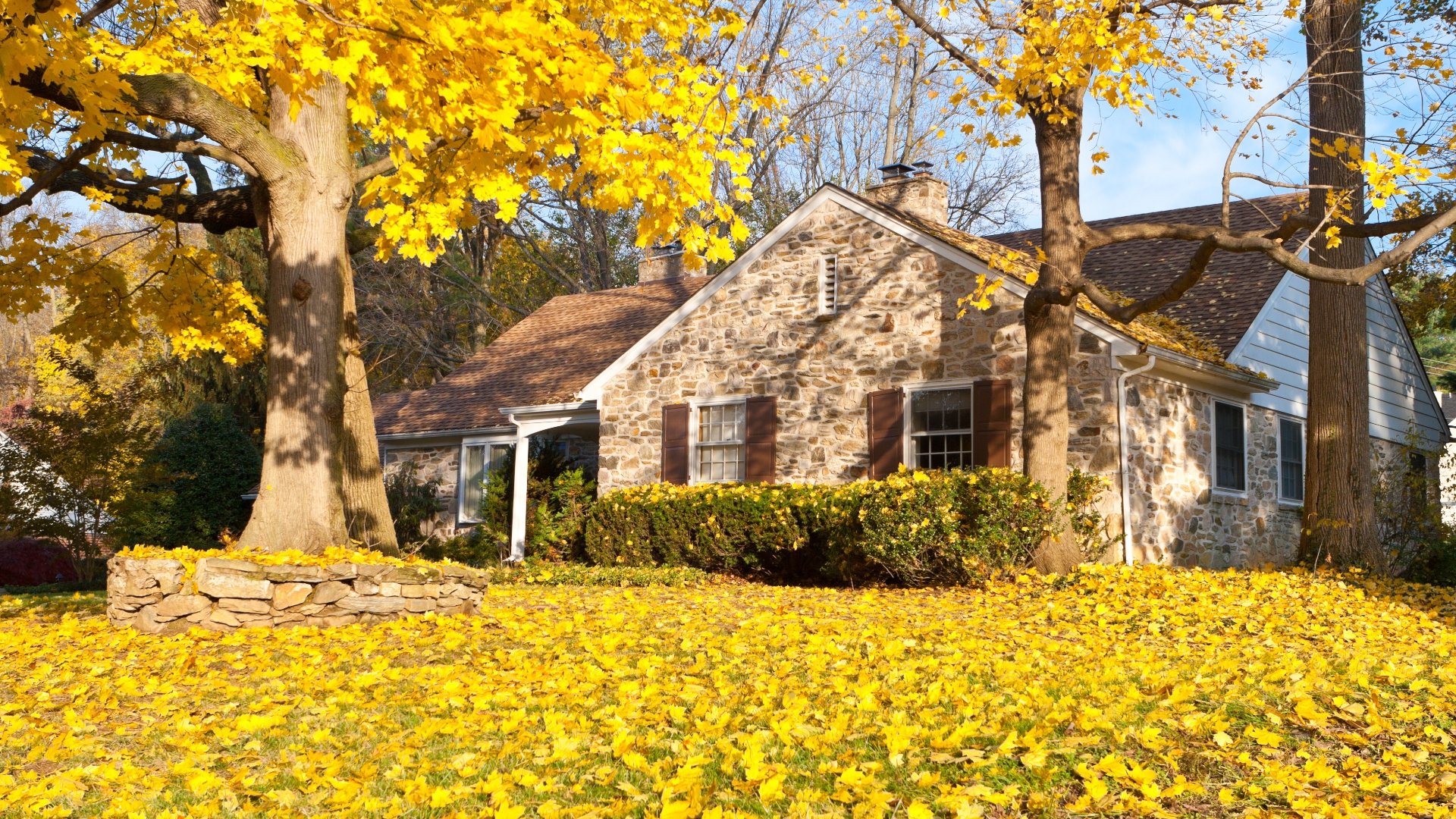 fall-maintenance-puts-your-yard-in-a-good-place-before-winter-etch