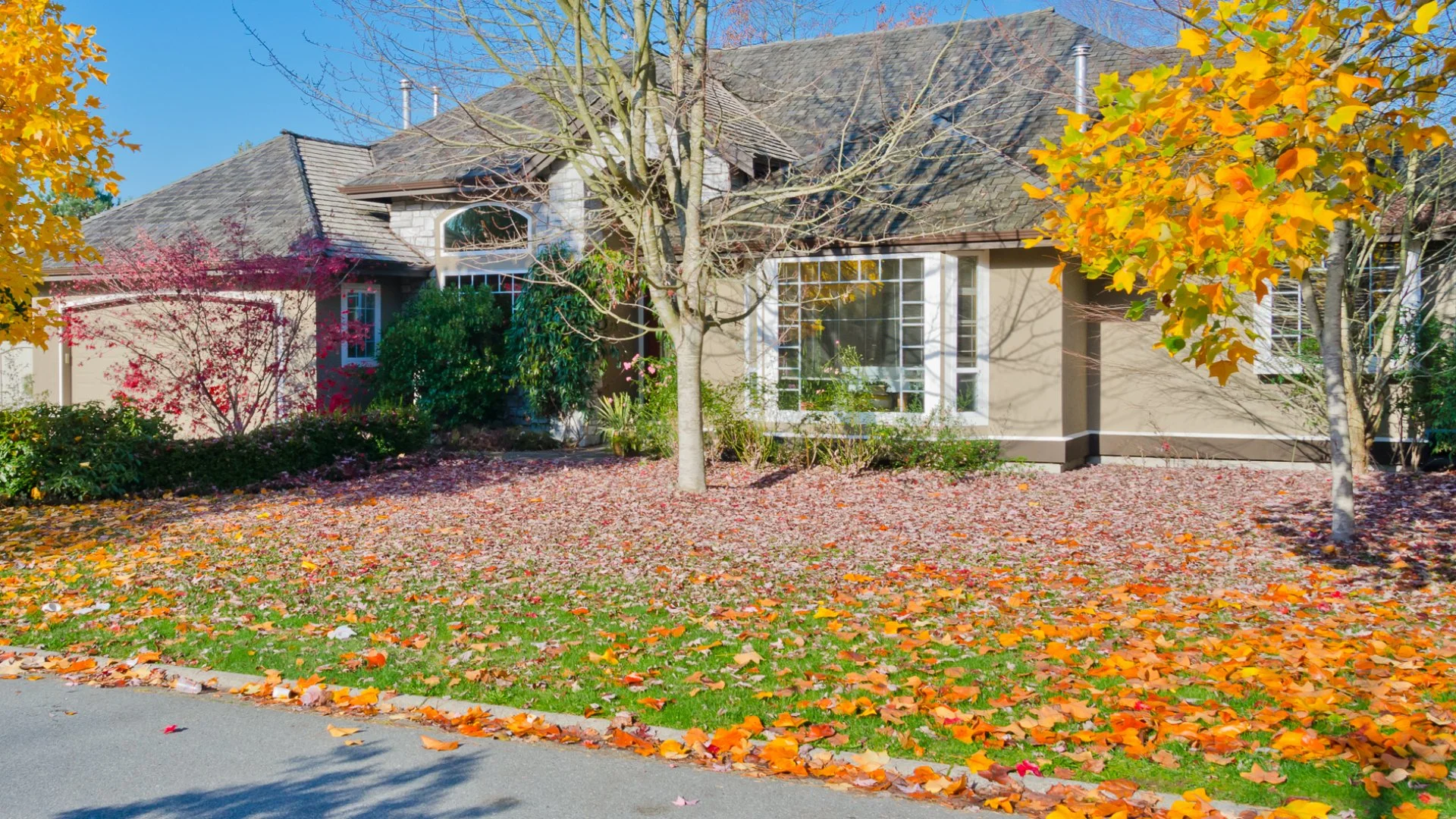 The Negative Impacts of Leaving Leaf Piles on Your Lawn Over Winter