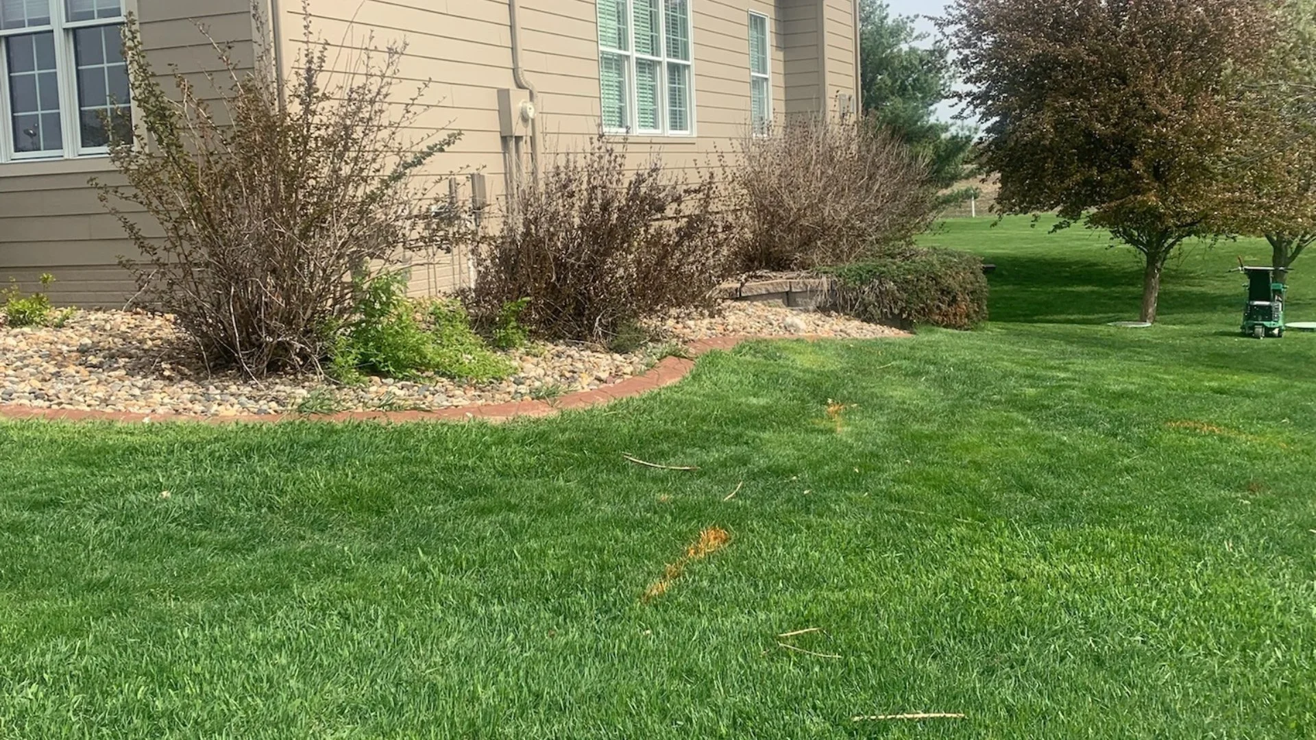 When Will Weeds Be Eliminated After Post-Emergent Weed Control?