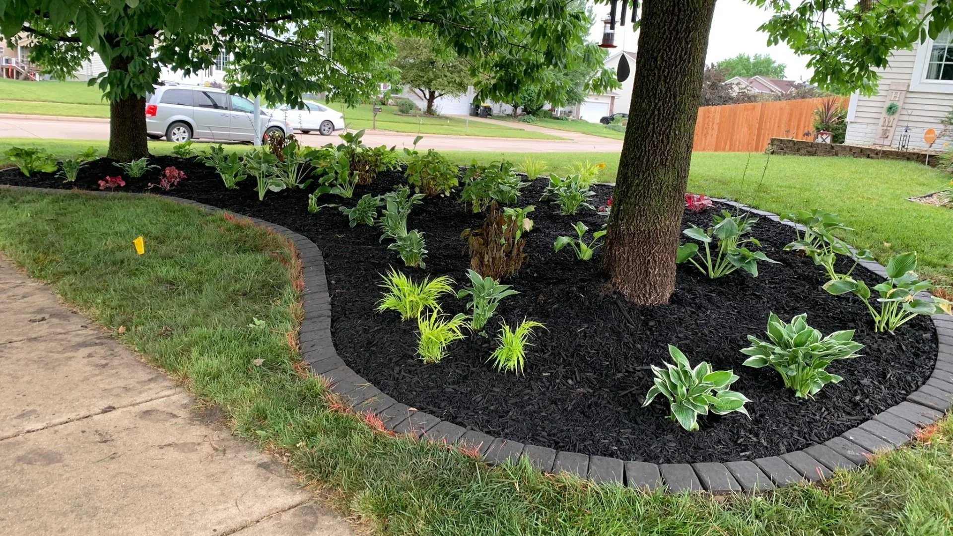 Want a Low-Maintenance Landscape? Here's What to Do