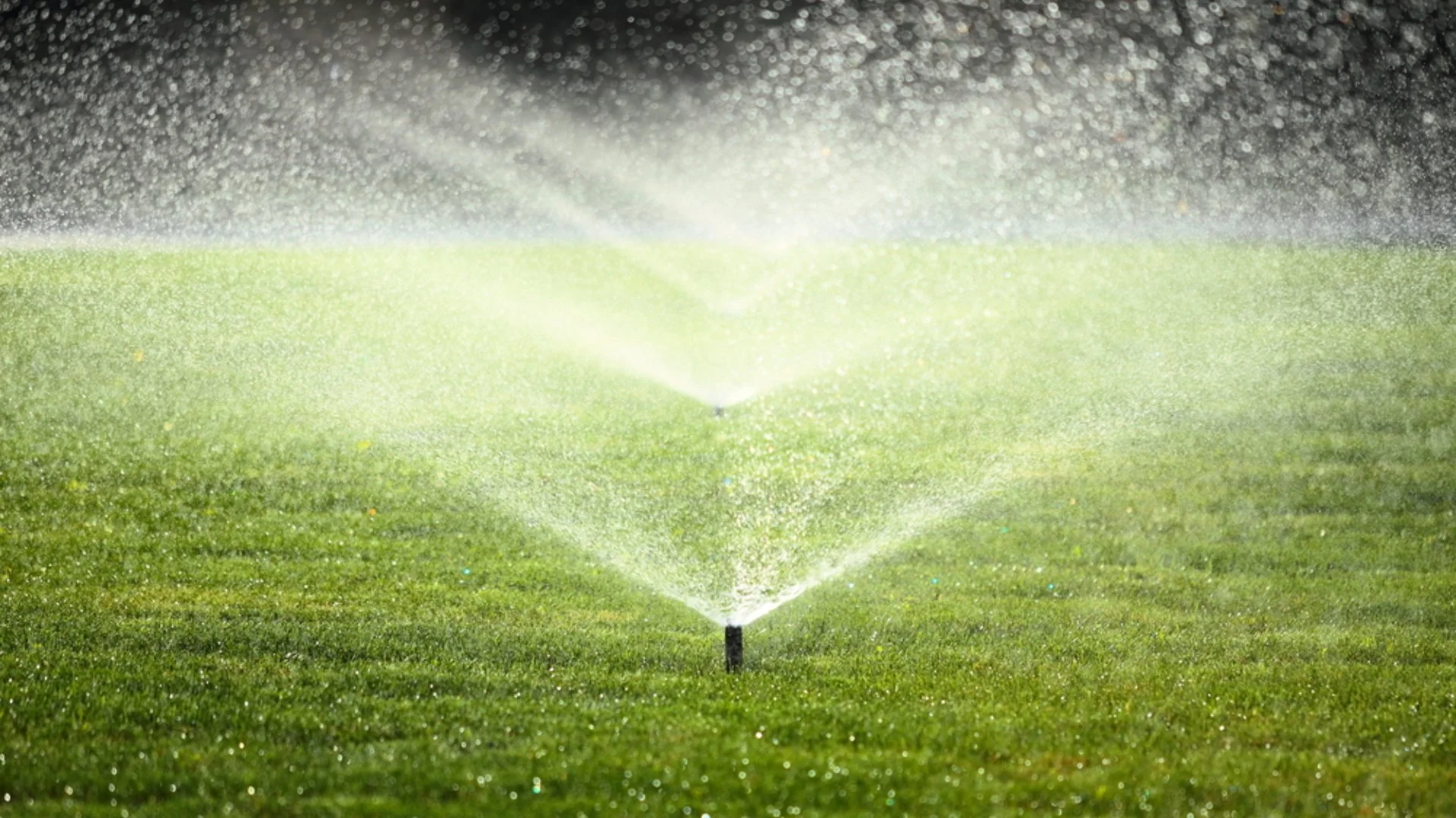 Possible Culprits Behind Faulty Sprinkler Zones
