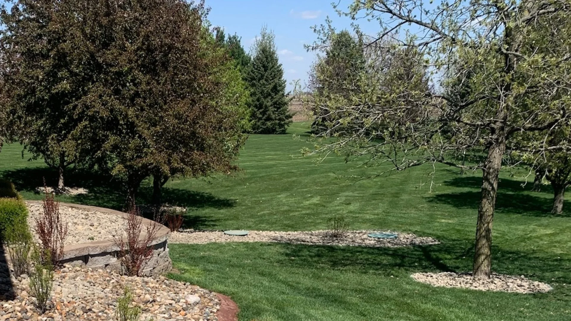 How Often Should Lawns in Ankeny, IA Be Fertilized?