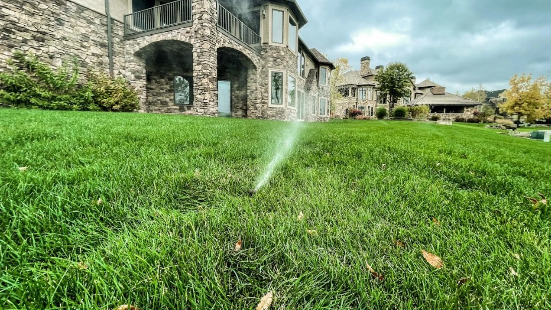 Do You Need to Water Your Lawn After Fertilization?