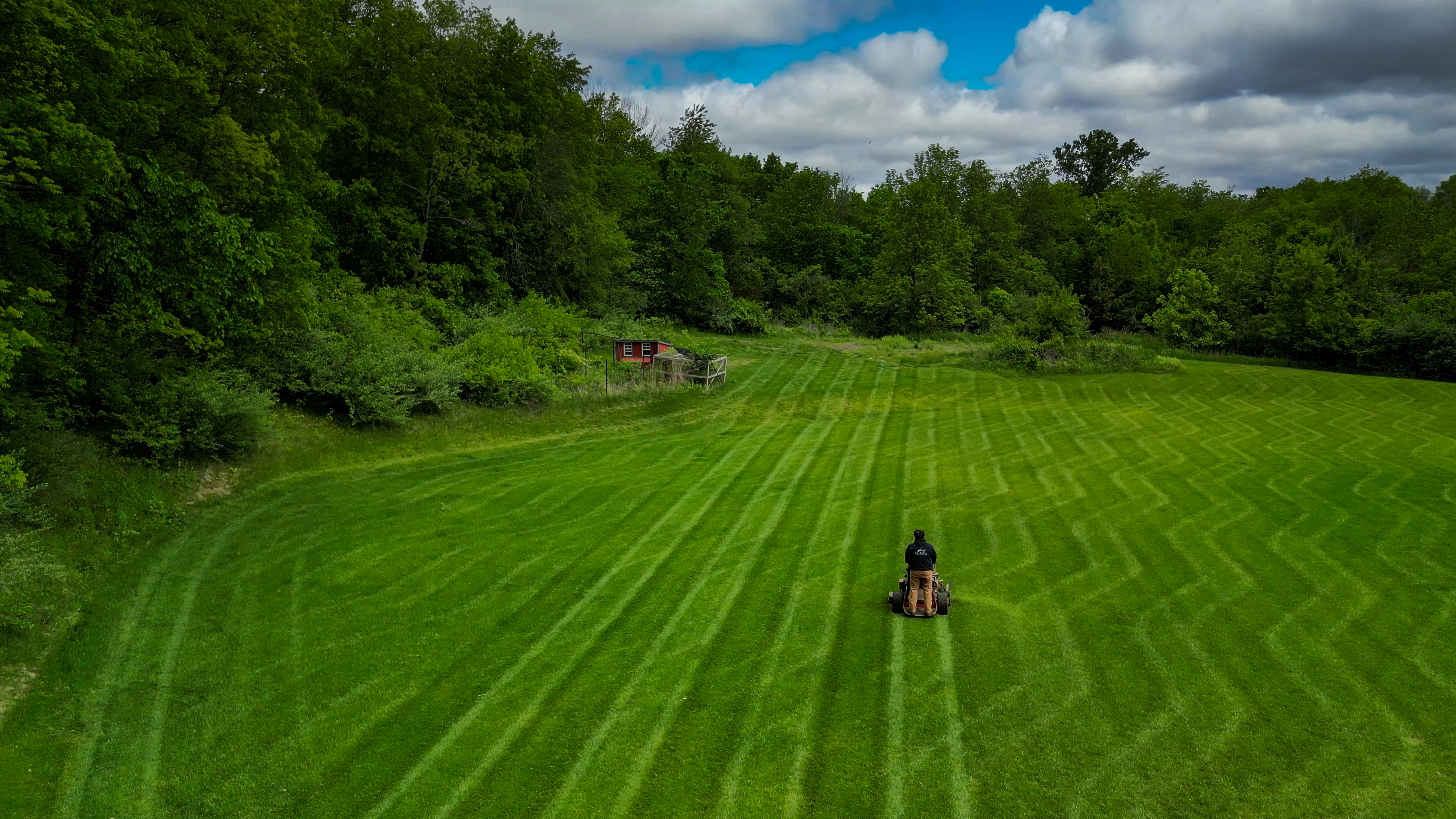 Can You Overseed Your Lawn if There Are Weeds?