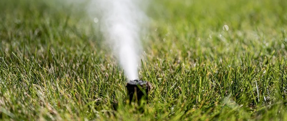 Blowing out water through a sprinkler head in Ankeny, IA.