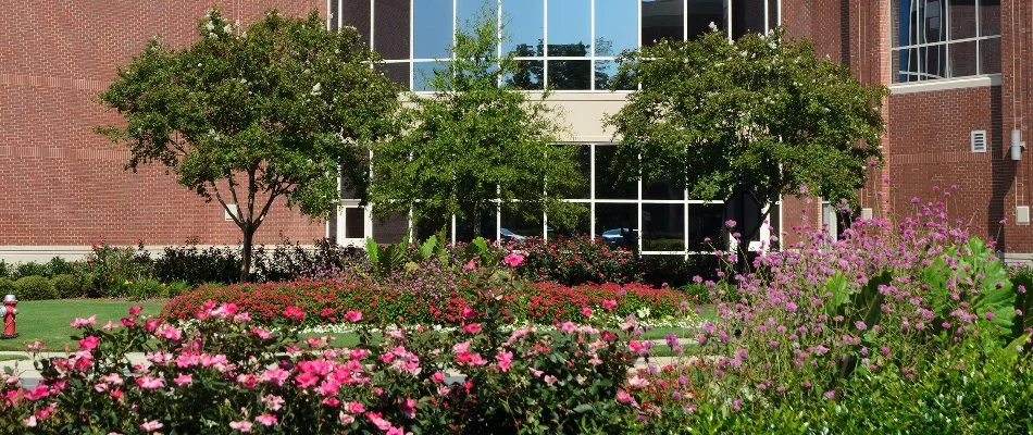 Landscape bed with colorful flowers on a commercial property in Ankeny, IA.