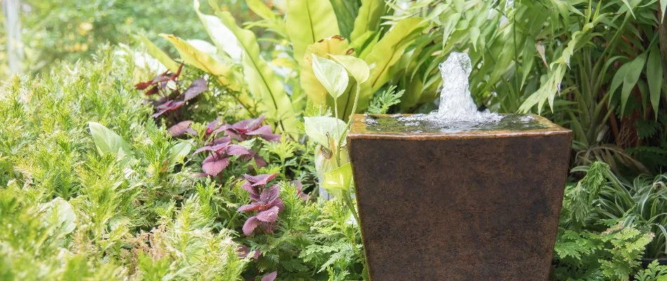 Lush green plants around a bubbler water feature in Ankeny, IA.