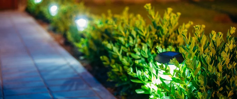 Outdoor lights on small plants in Ankeny, IA, on a walkway.