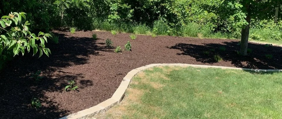 Thick mulch on a landscape bed in Ankeny, IA.