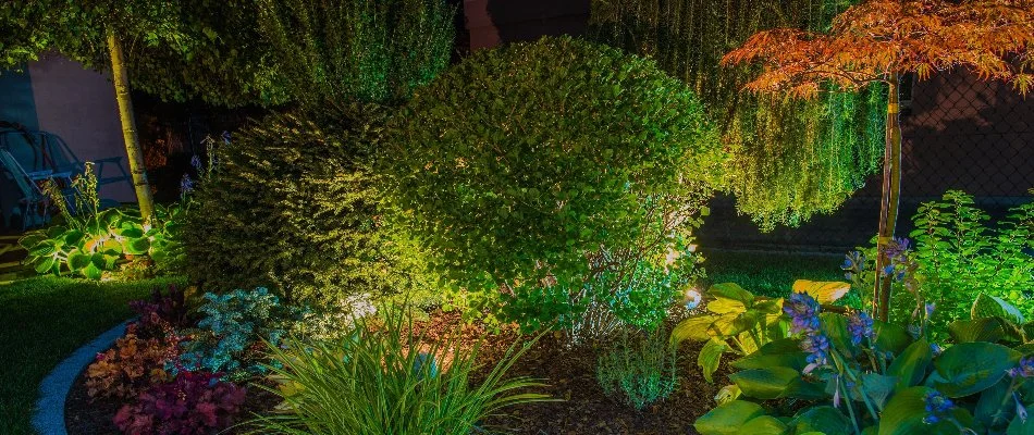 Uplighting technique on green shrubs on a landscape in Ankeny, IA.