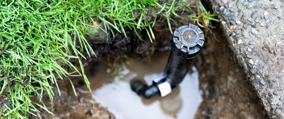 Puddle around a broken sprinkler head in Ankeny, IA.