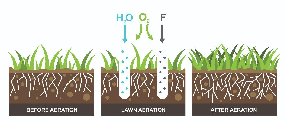 A graphic of before and after results from aeration.