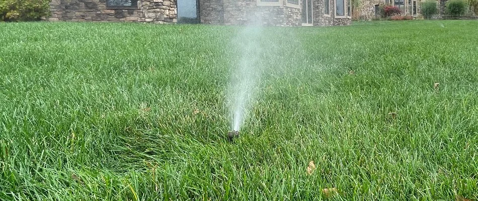 Green lawn in Cedar Rapids, IA, with a irrigation sprinkler head.