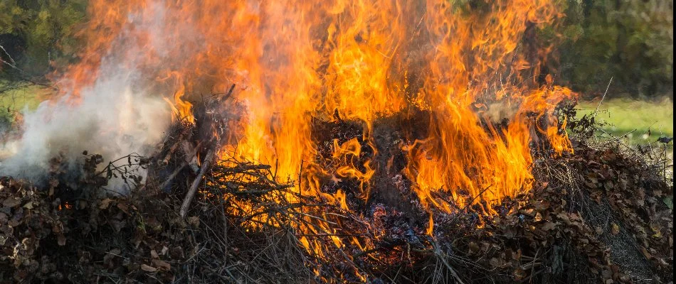 A large pile of leaves on fire in Ankeny, IA.