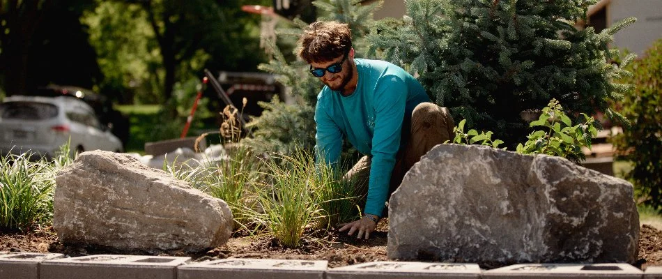 Our landscape professional installing plants in Grimes, IA.