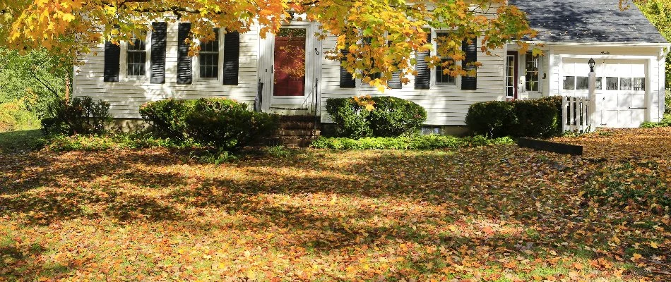 Lawn covered in leaves in Ankeny, IA.