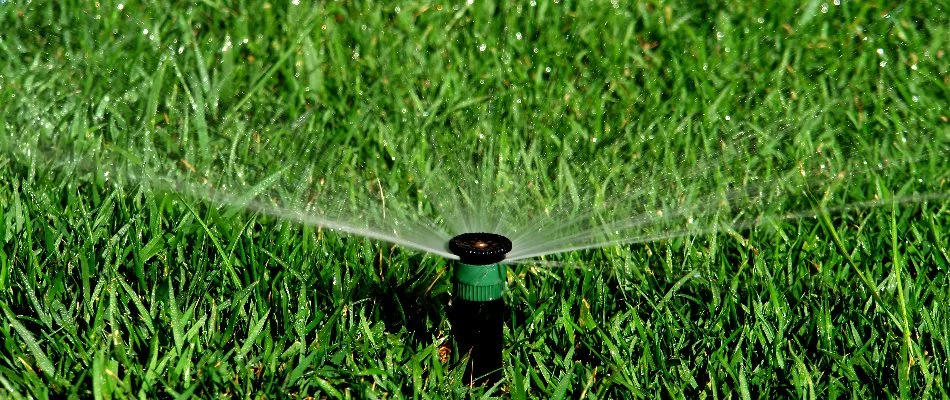 Sprinkler watering grass in Marion, IA.